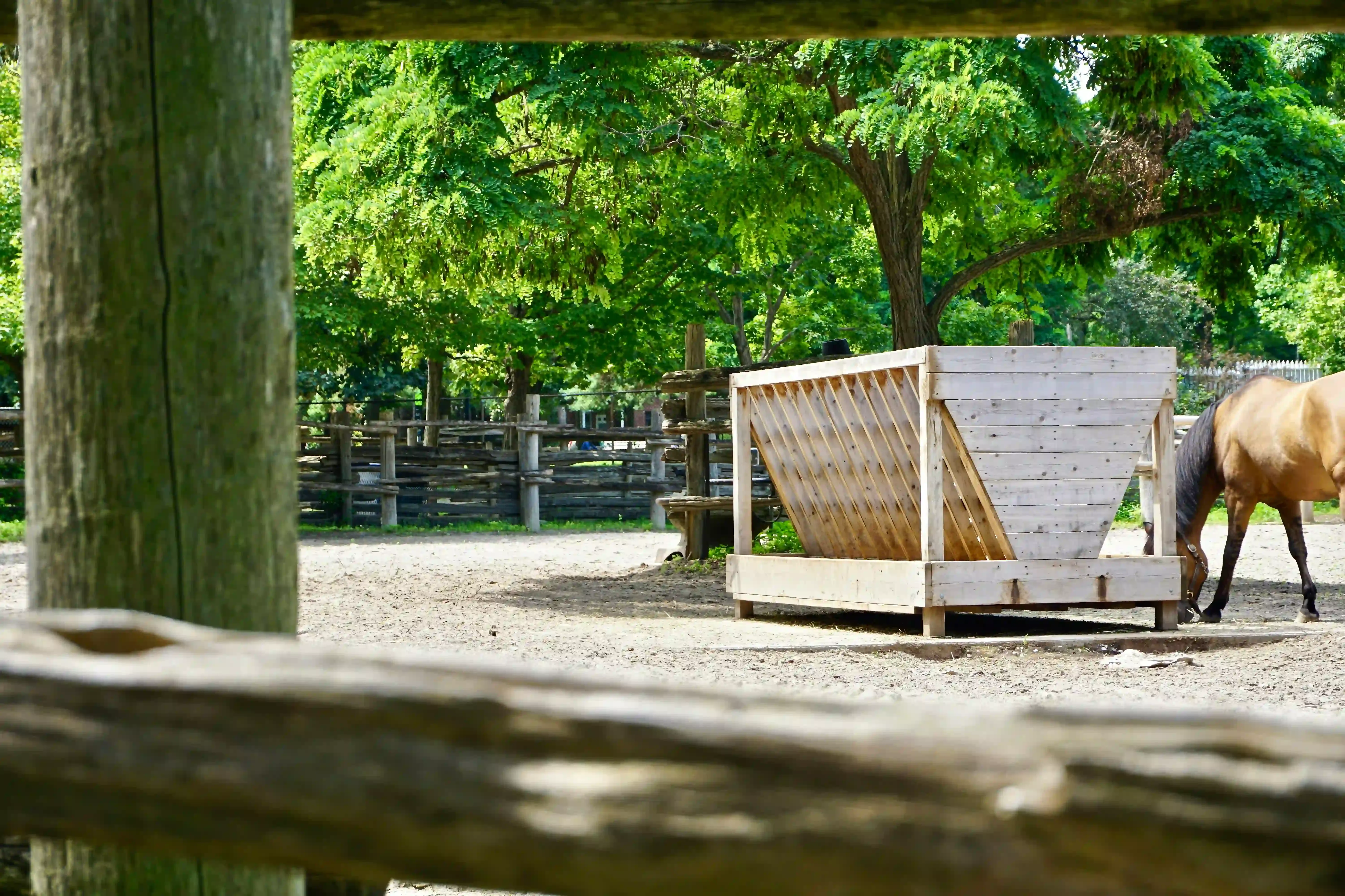 DIY or Done For You: Getting Your Monkey Bars Outdoor Ready