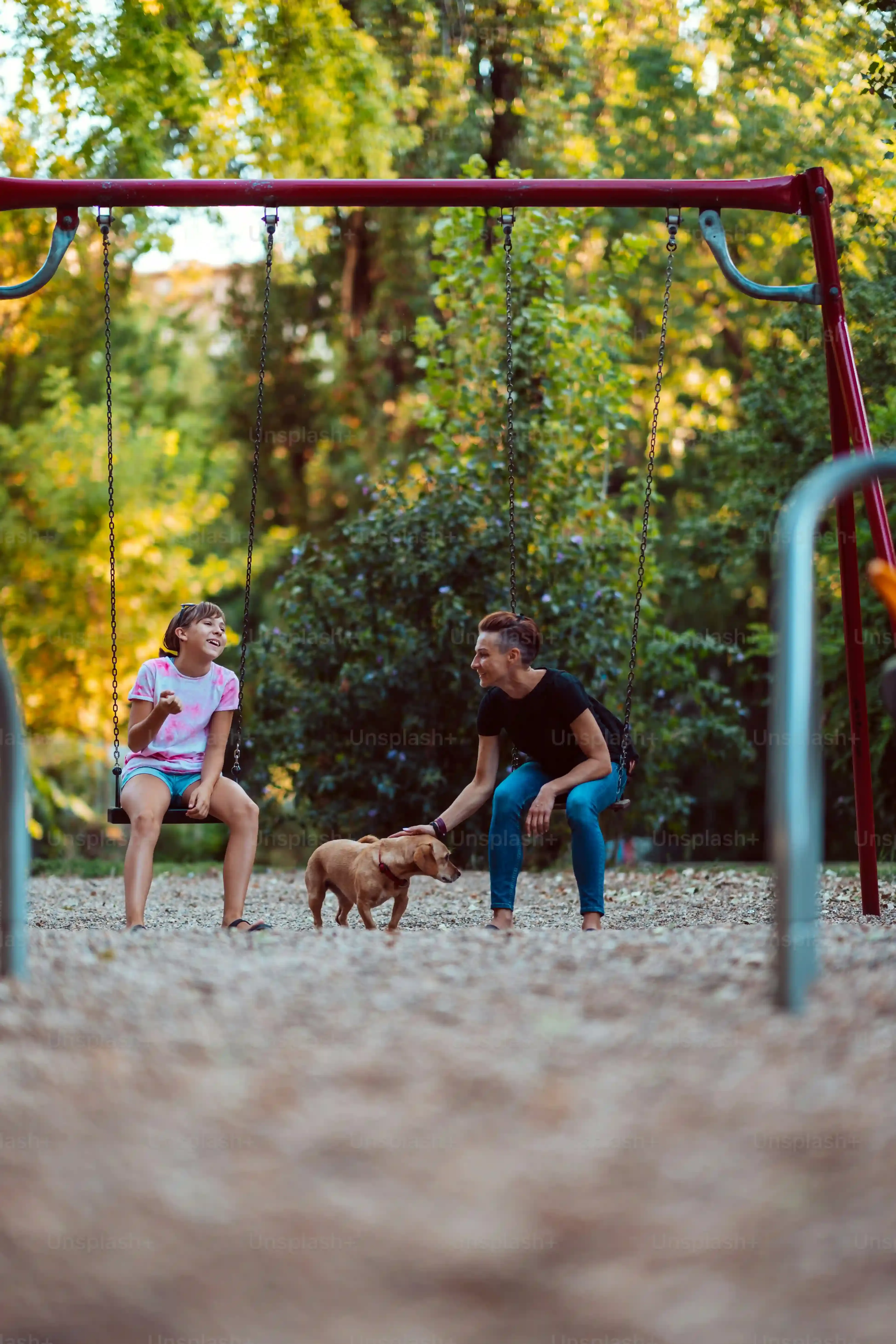 DIY vs. Buying: Setting Up Your Dog Playground Equipment Backyard