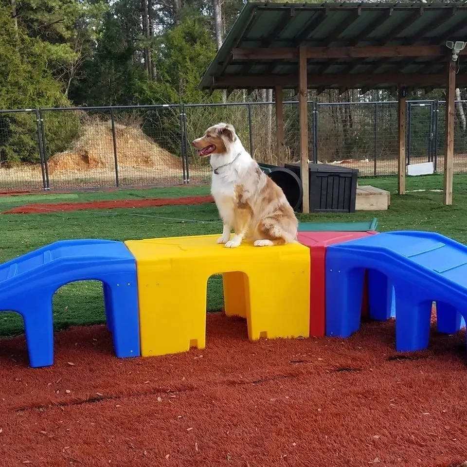 Maintaining Your Dog Playground Equipment Backyard for Lasting Joy
